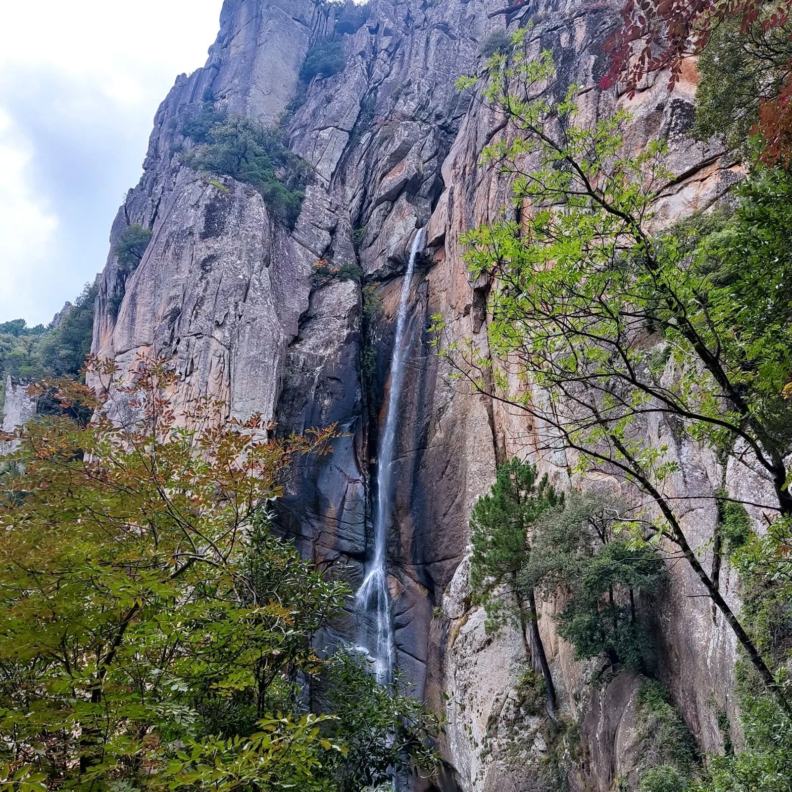La cascade de Piscia di Ghjaddu dans le massif de l’Ospédale